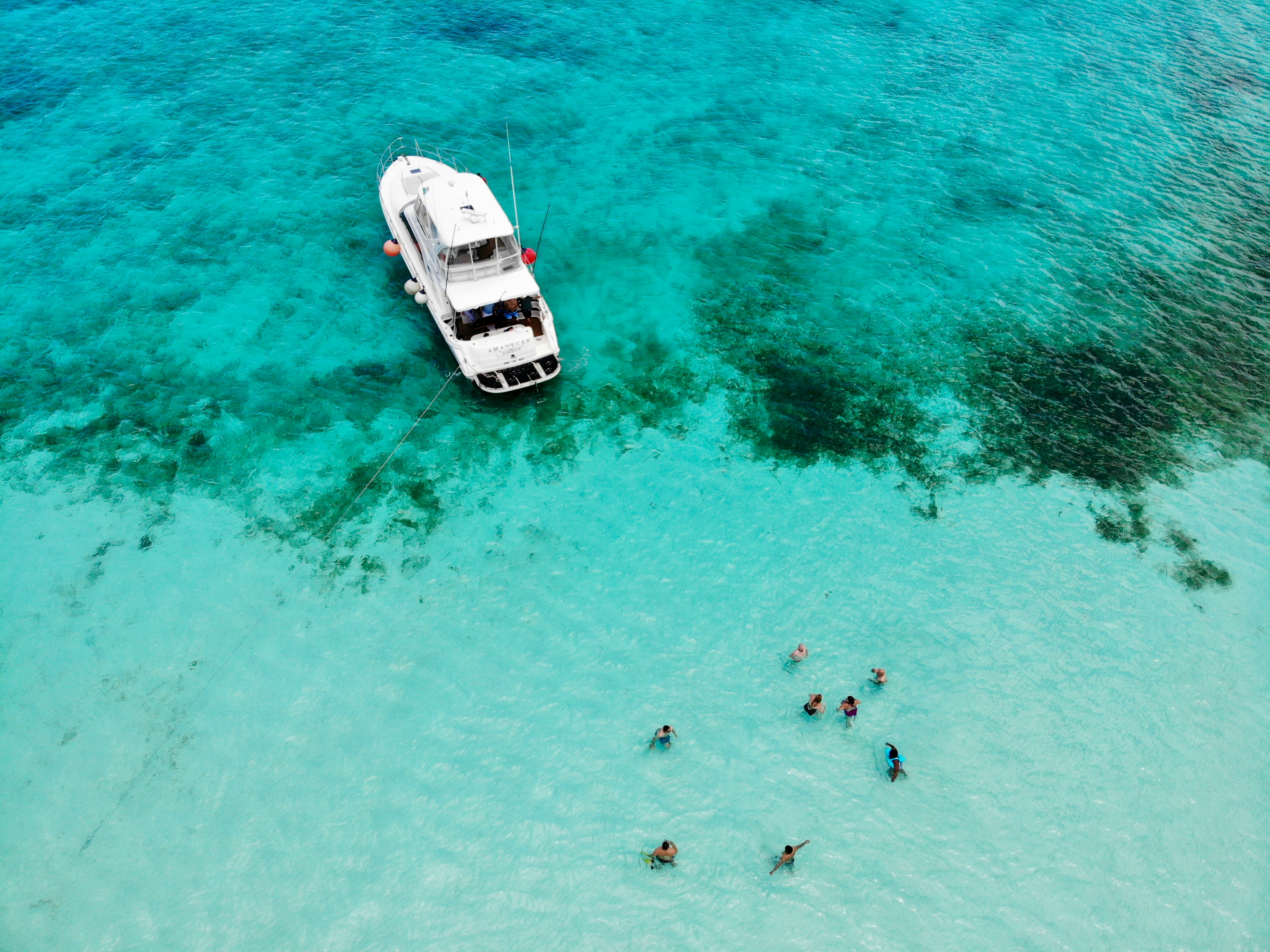Underwater diving scene in Cozumel